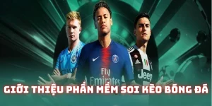 Phần mềm soi kèo bóng đá miễn phí là công cụ gì?